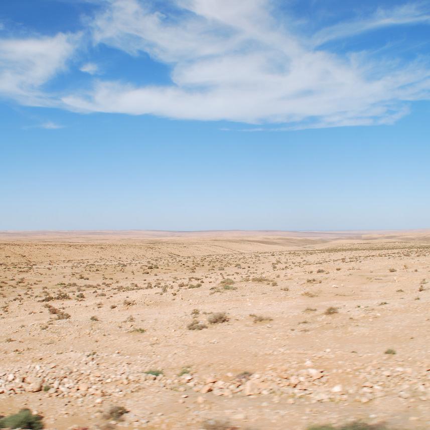 DSC_0304.JPG