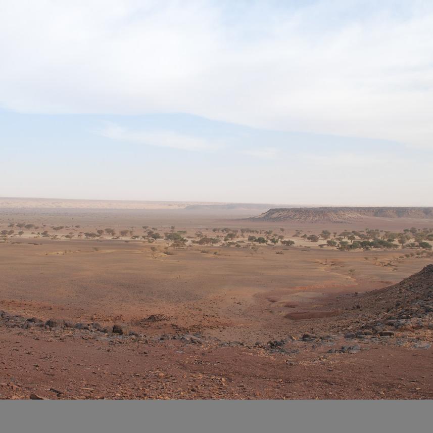 DSC_0348.JPG