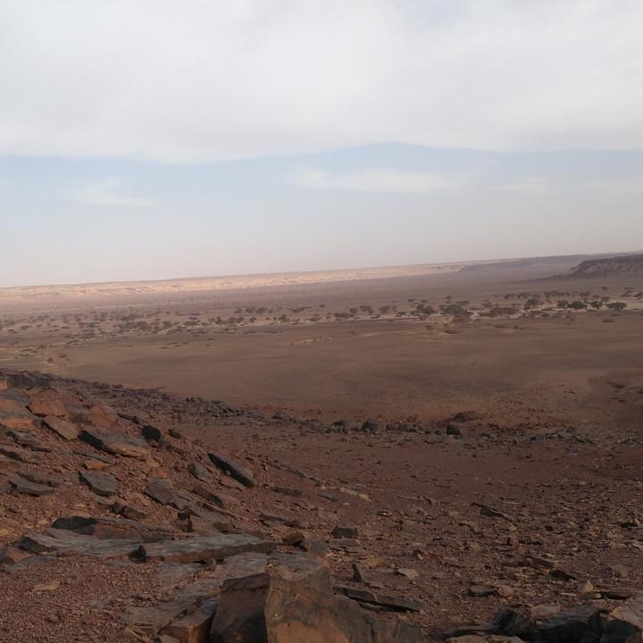 IMG_20200103_085640.jpg