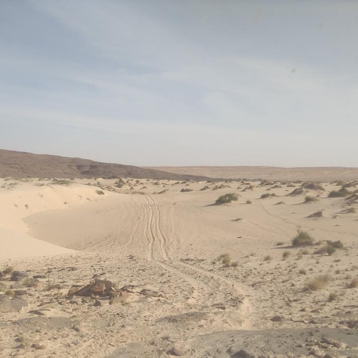 IMG_20200107_154650.jpg