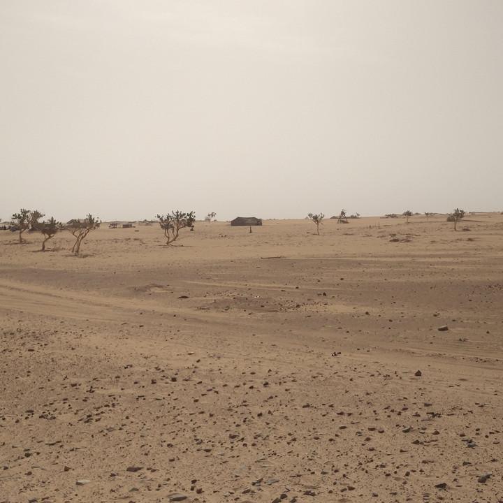 IMG_20200106_104049.jpg