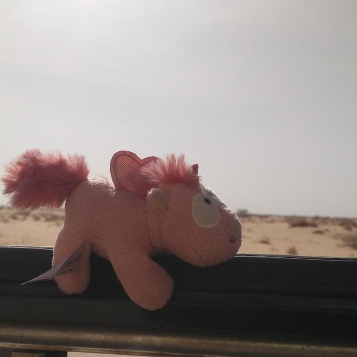 IMG_20200106_144559.jpg