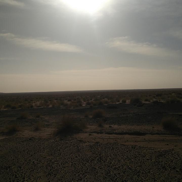 IMG_20200108_084743.jpg