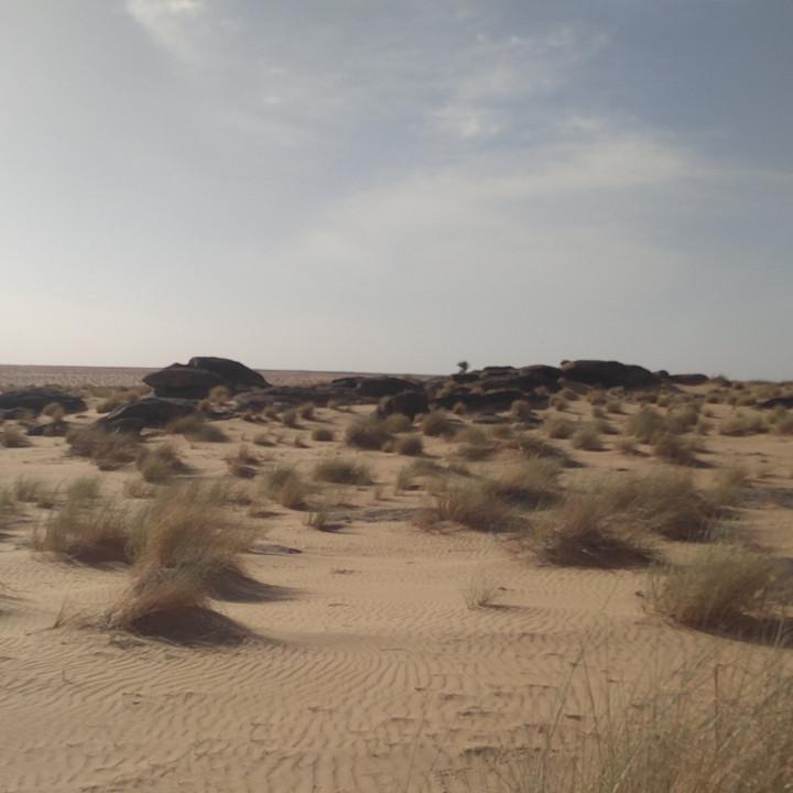 IMG_20200108_091233.jpg