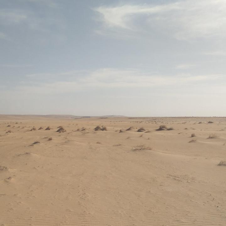 IMG_20200108_093434.jpg