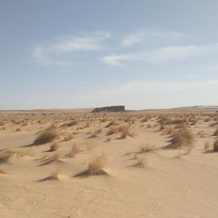 IMG_20200108_094806.jpg