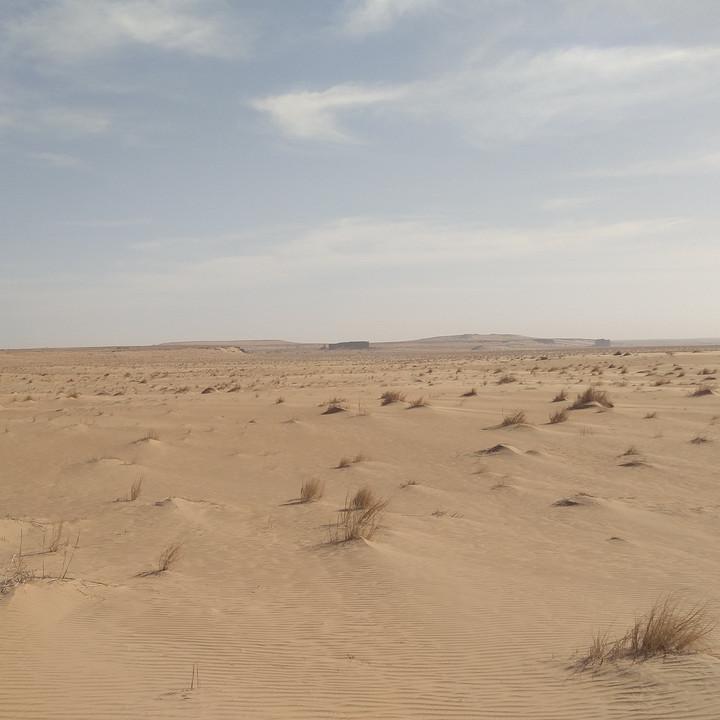 IMG_20200108_094056.jpg