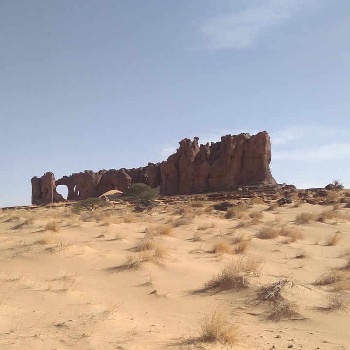 IMG_20200108_095421_01.jpg