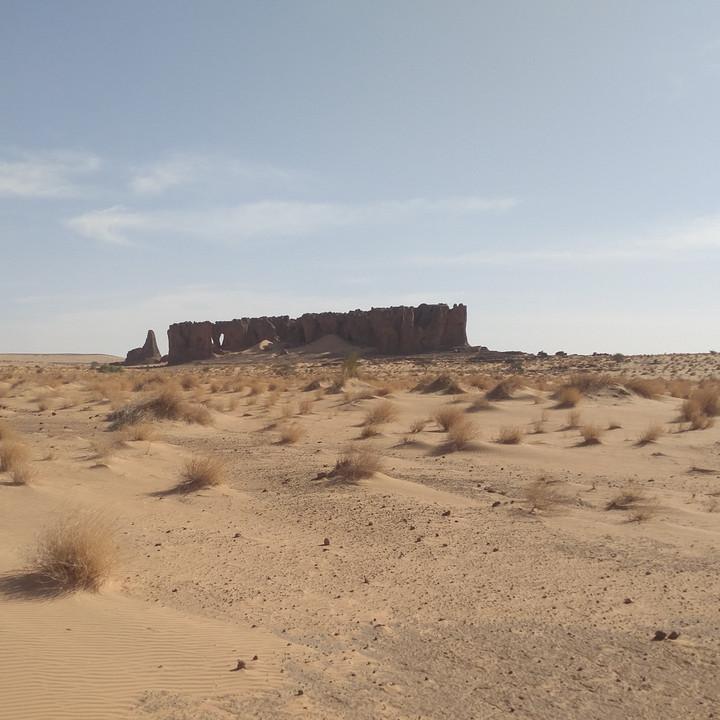 IMG_20200108_095204.jpg