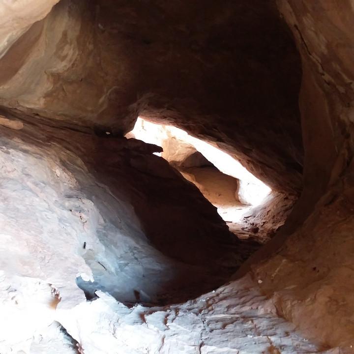 IMG_20200108_100534.jpg
