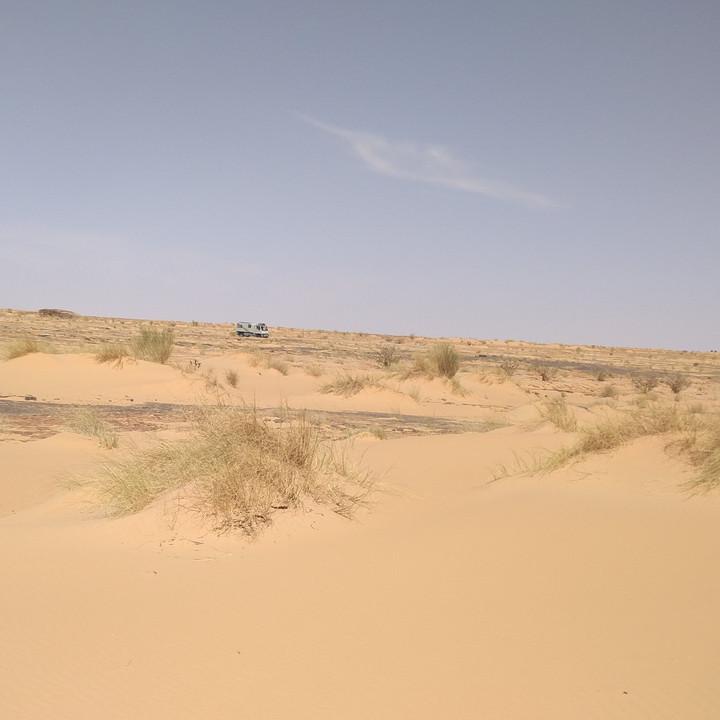 IMG_20200108_125326.jpg
