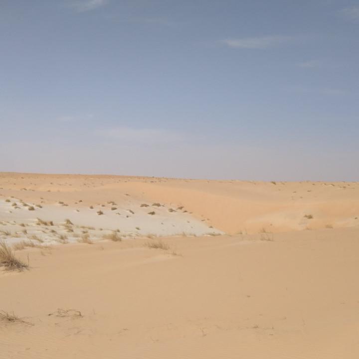 IMG_20200108_145525.jpg