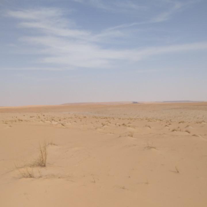 IMG_20200108_145204.jpg
