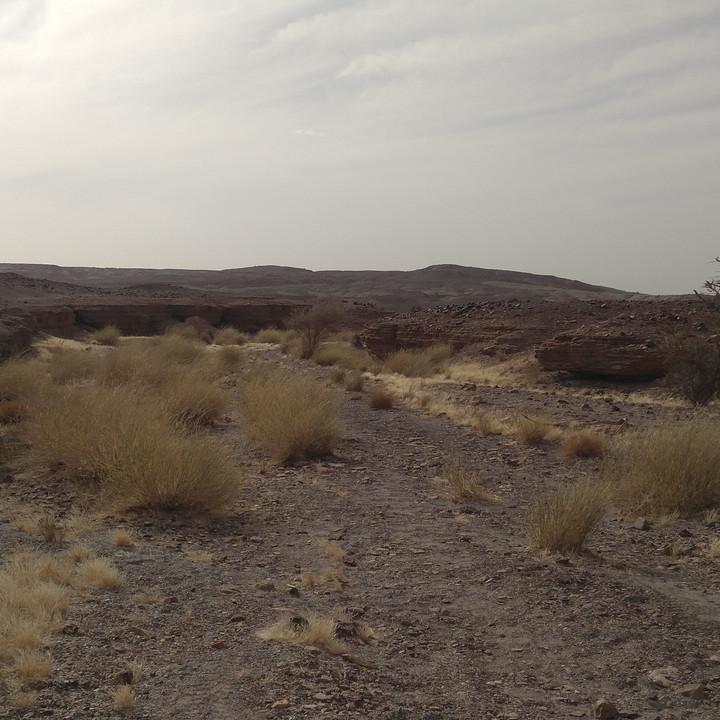 IMG_20200109_095522.jpg