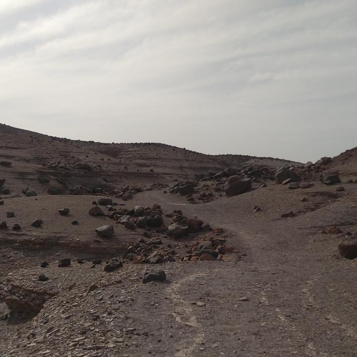 IMG_20200109_095014.jpg