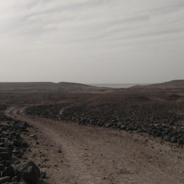 IMG_20200109_095304.jpg