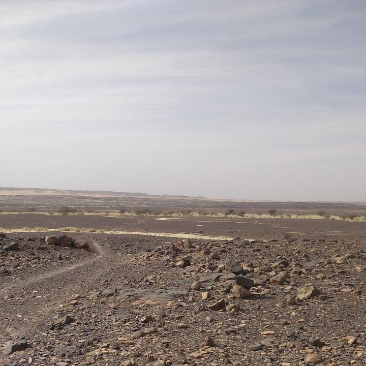 IMG_20200109_102246.jpg