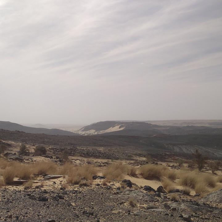 IMG_20200109_110006.jpg