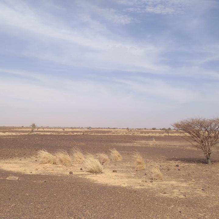 IMG_20200109_110022.jpg