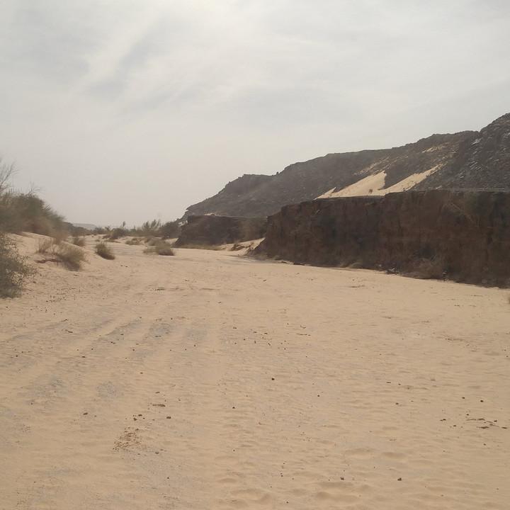 IMG_20200109_113340.jpg