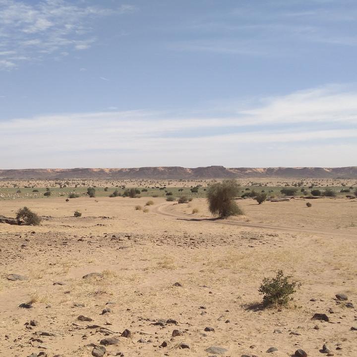 IMG_20200110_103904.jpg