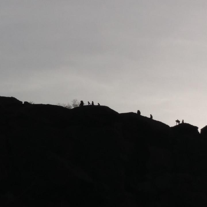 IMG_20200111_173009.jpg