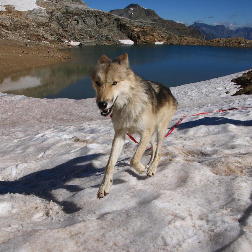 IMG_20200814_104200.jpg
