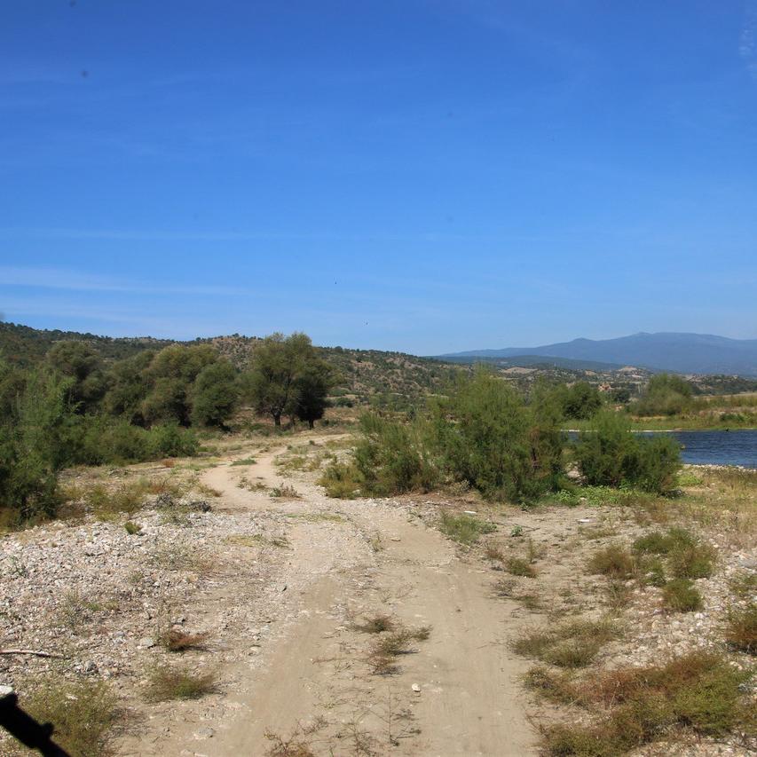 IMG_20200916_102200.jpg