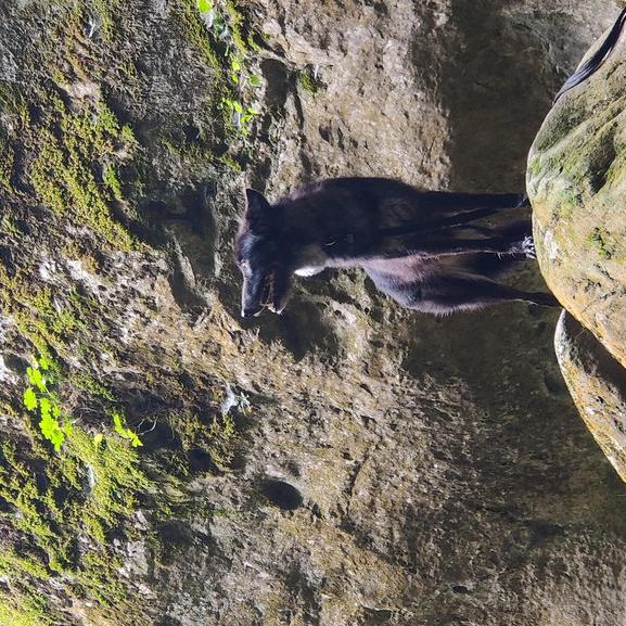 IMG_20200918_125723.jpg