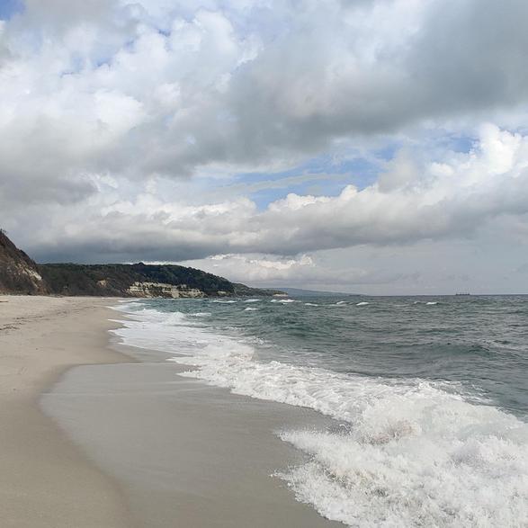 IMG_20200928_110611.jpg