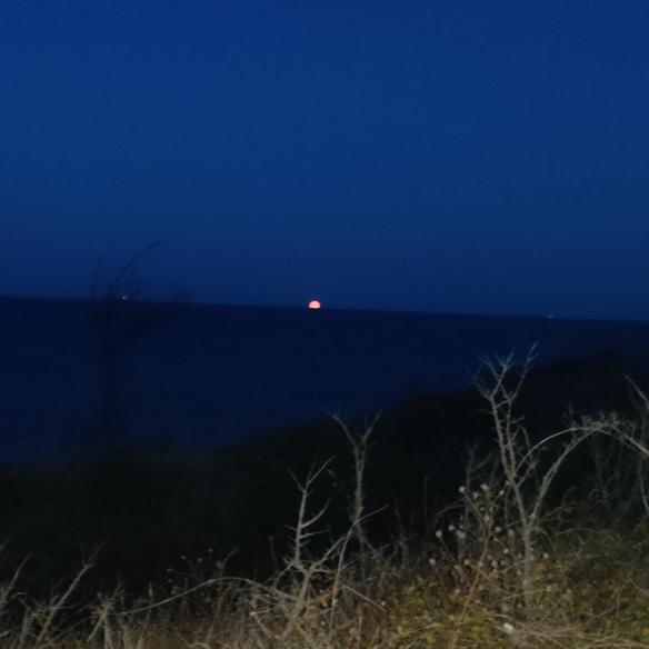 IMG_20201002_192707.jpg