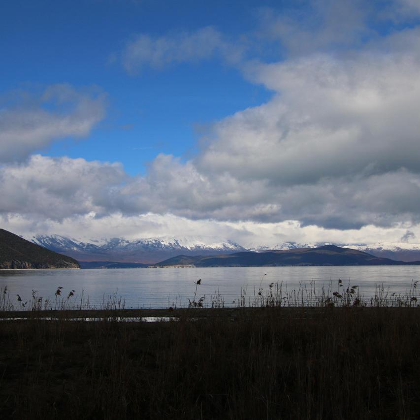 IMG_20210315_111547.jpg