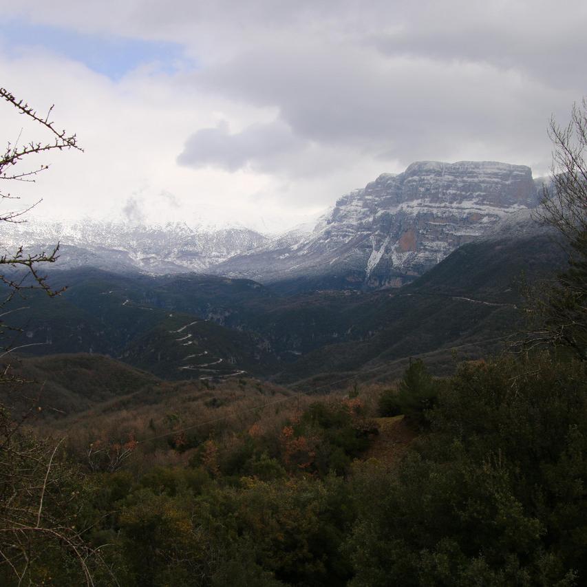 IMG_20210316_120101.jpg