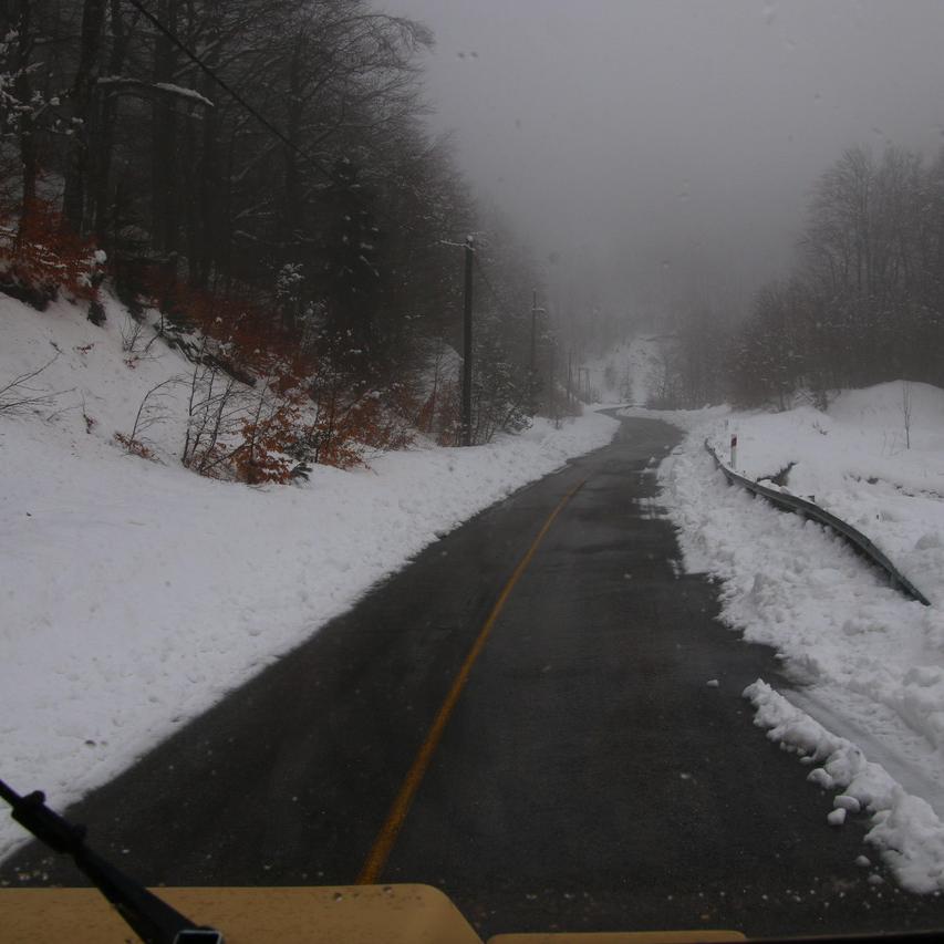 IMG_20210322_150026.jpg