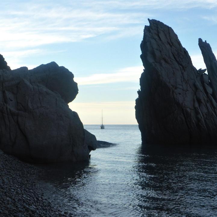 IMG_20210617_064155.jpg