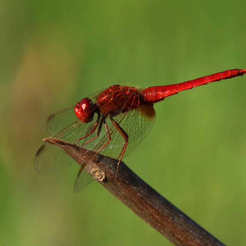 IMG_20210901_153440.jpg