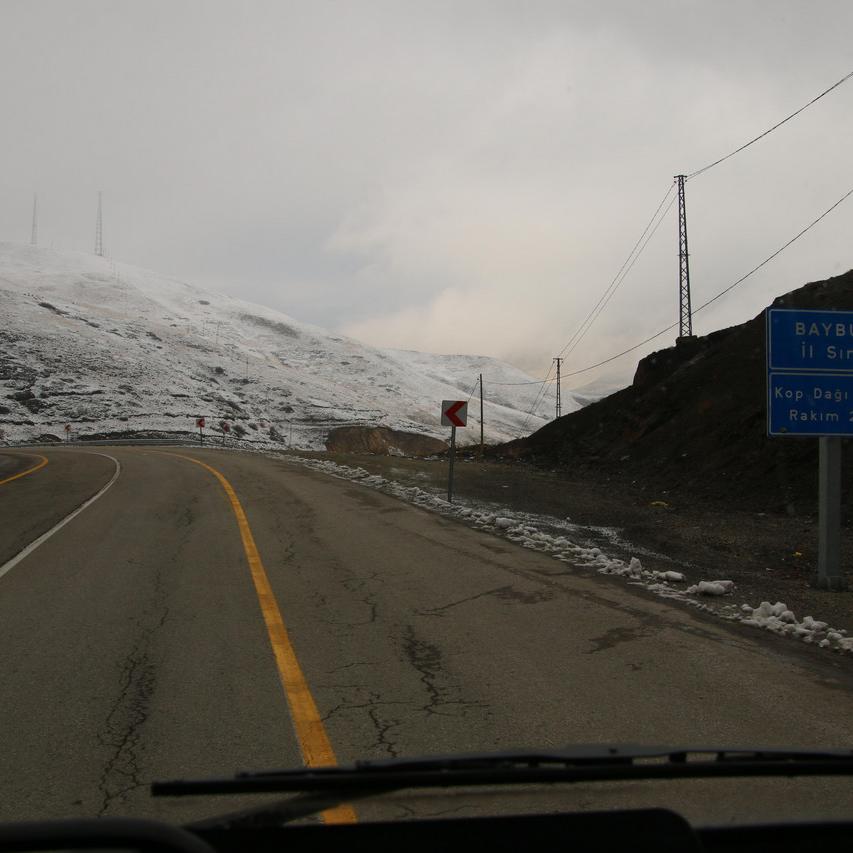 IMG_20211030_121906.jpg