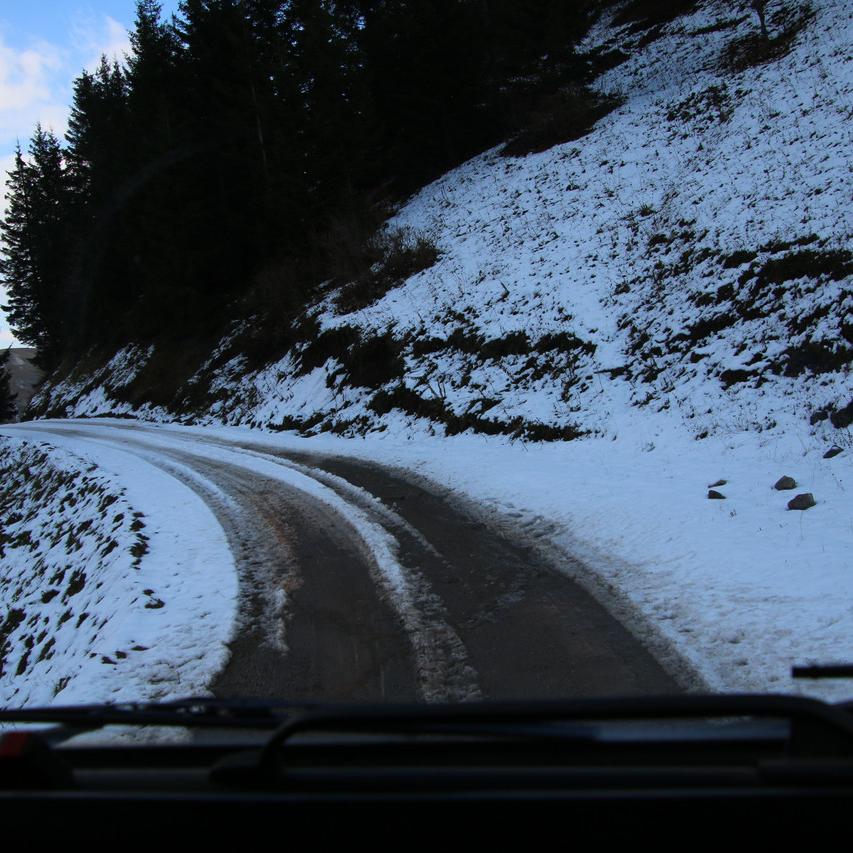 IMG_20211030_144844.jpg