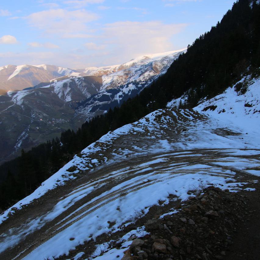 IMG_20211030_150159.jpg