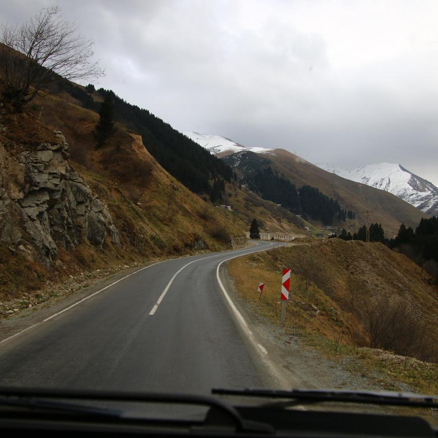 IMG_20211031_144536.jpg