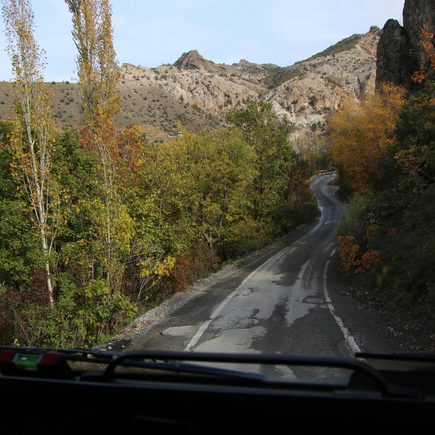 IMG_20211101_132741.jpg