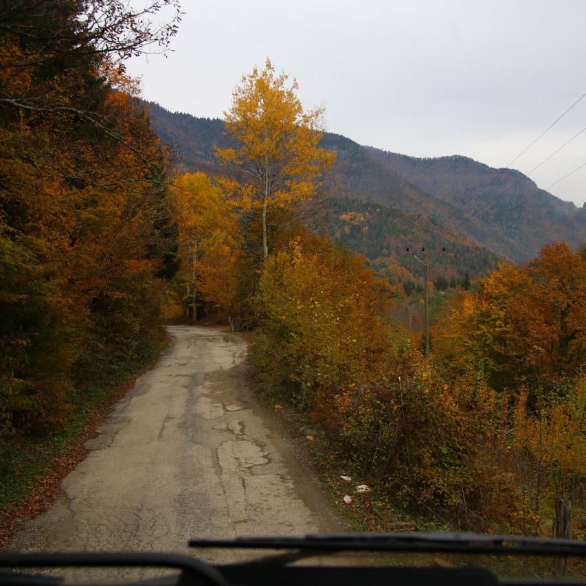 IMG_20211102_150048.jpg