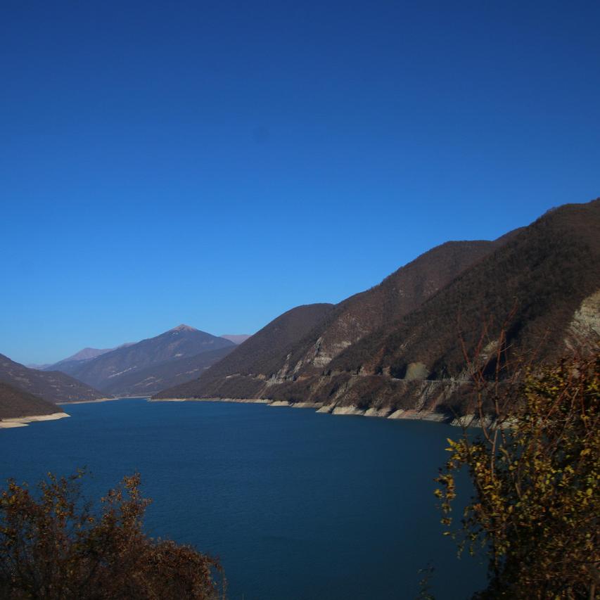 IMG_20211122_134419.jpg