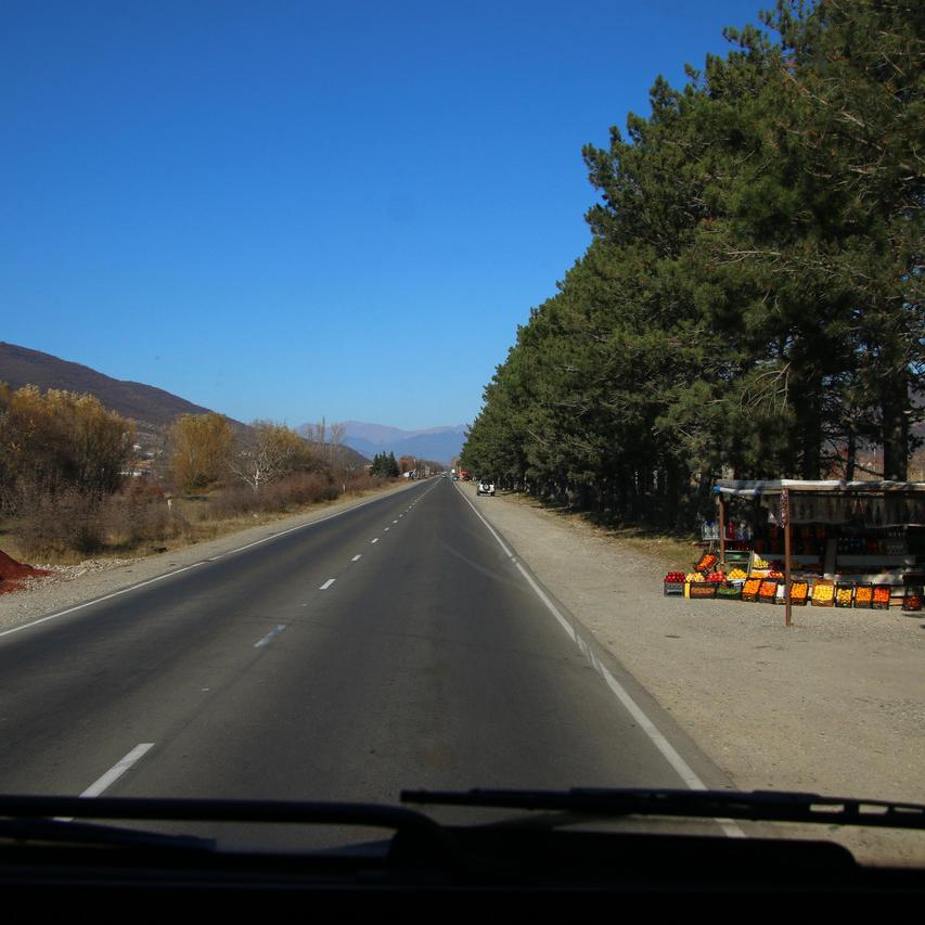 IMG_20211122_132422.jpg