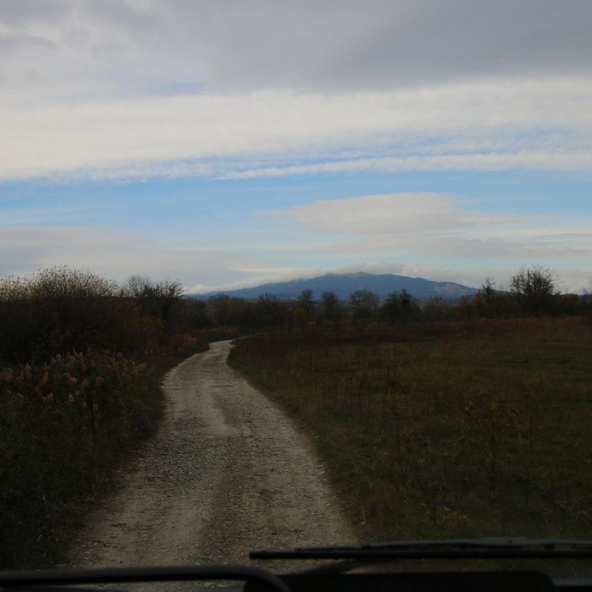 IMG_20211124_133740.jpg