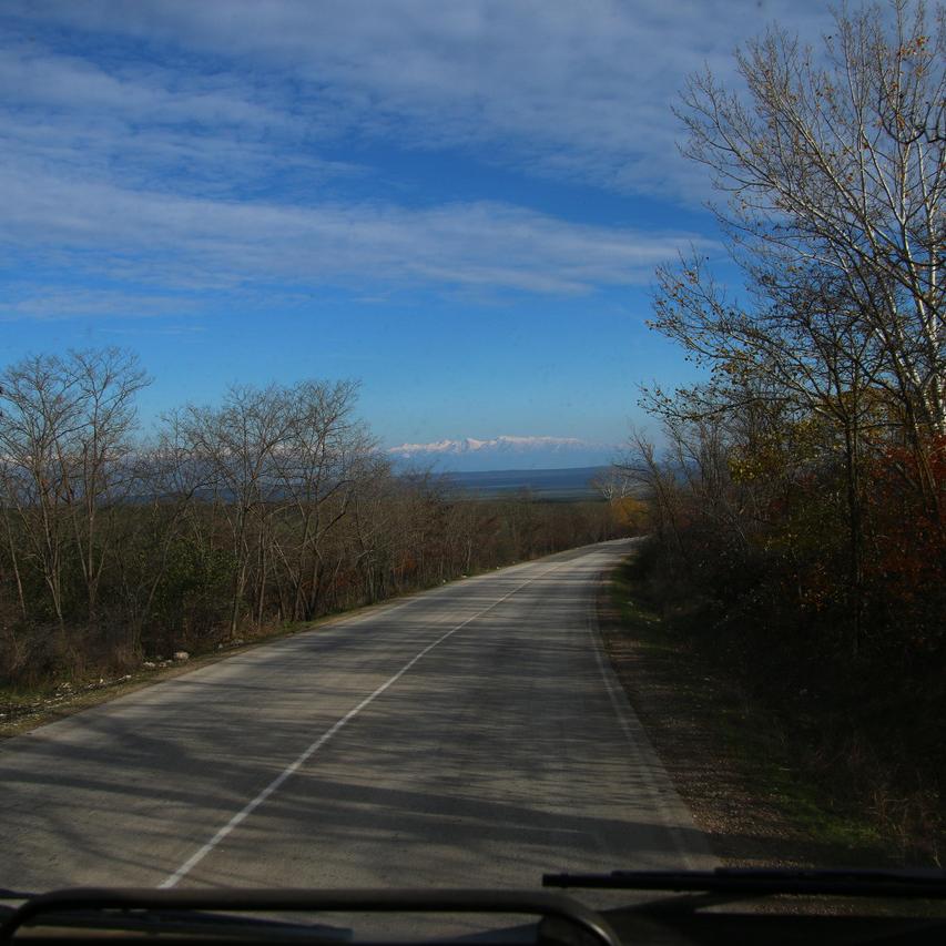 IMG_20211127_135622.jpg