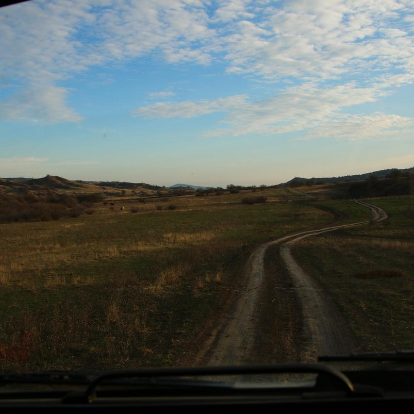 IMG_20211127_152559.jpg