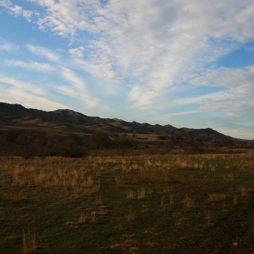 IMG_20211127_153039.jpg