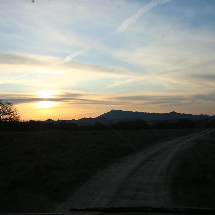 IMG_20211128_073445.jpg