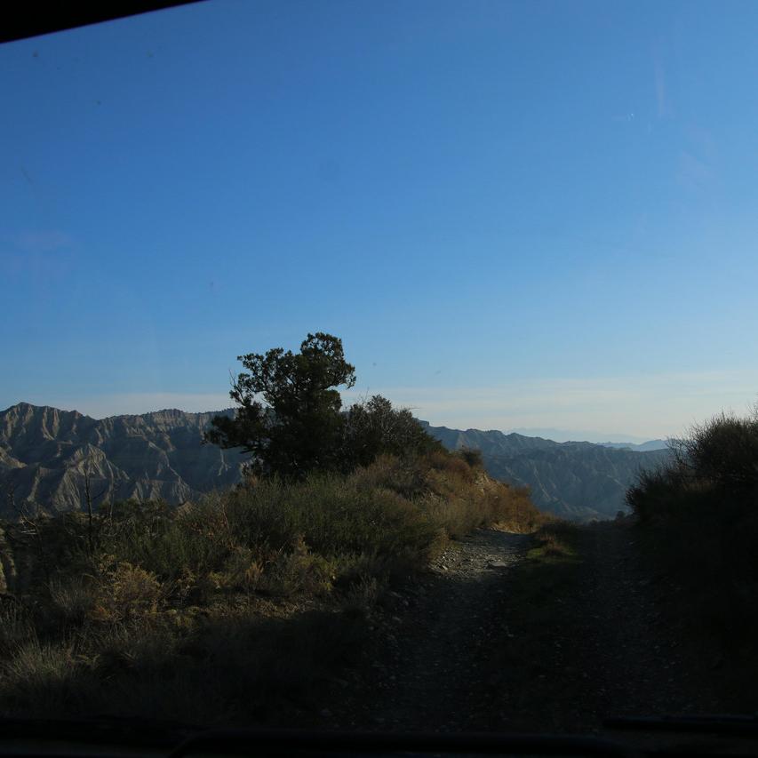 IMG_20211128_085552.jpg
